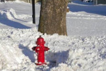 Fire hydrant in snow