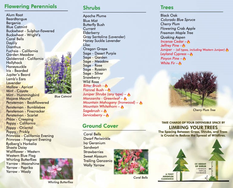 Firewise Planting Guide Page 2 (003)